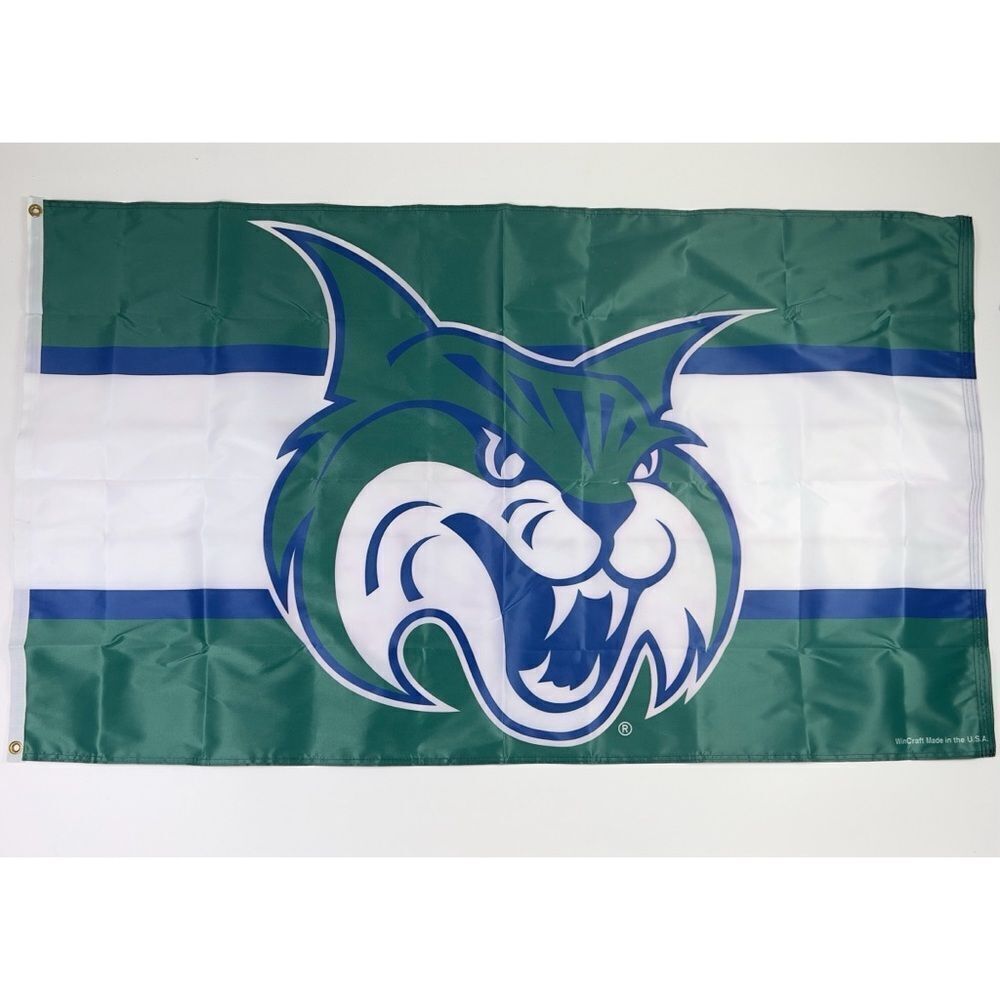 Georgia College & State University Flag